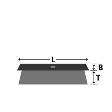 Puitkorpusega pintsel OSBORN (600x55x80 mm) 1